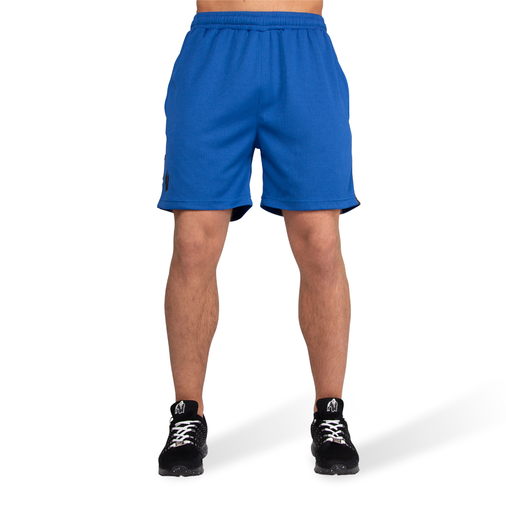 Reydon Mesh Shorts, blue