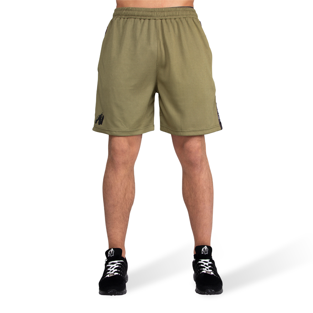 Reydon Mesh Shorts, army green