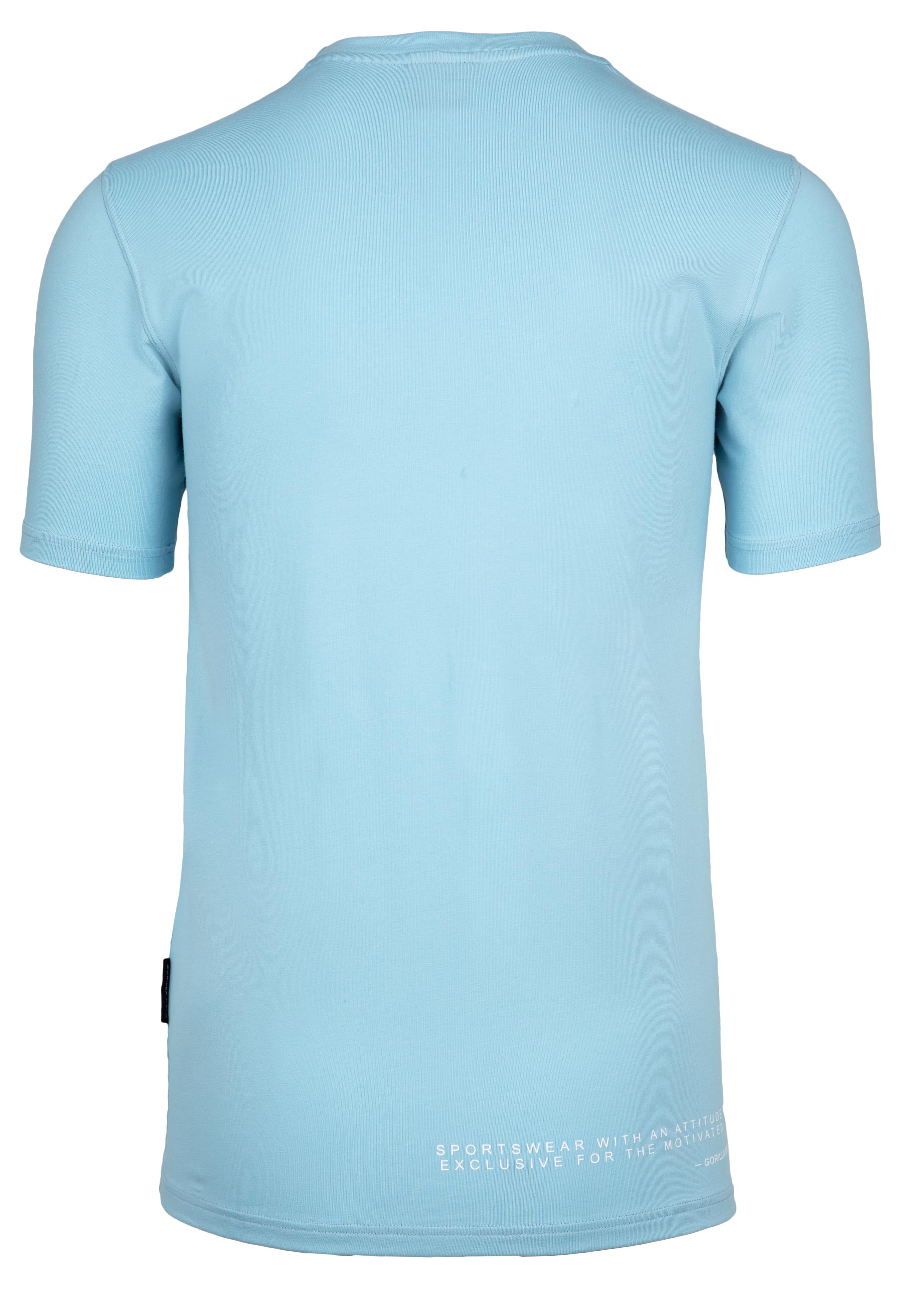 Swanton T-Shirt, blue