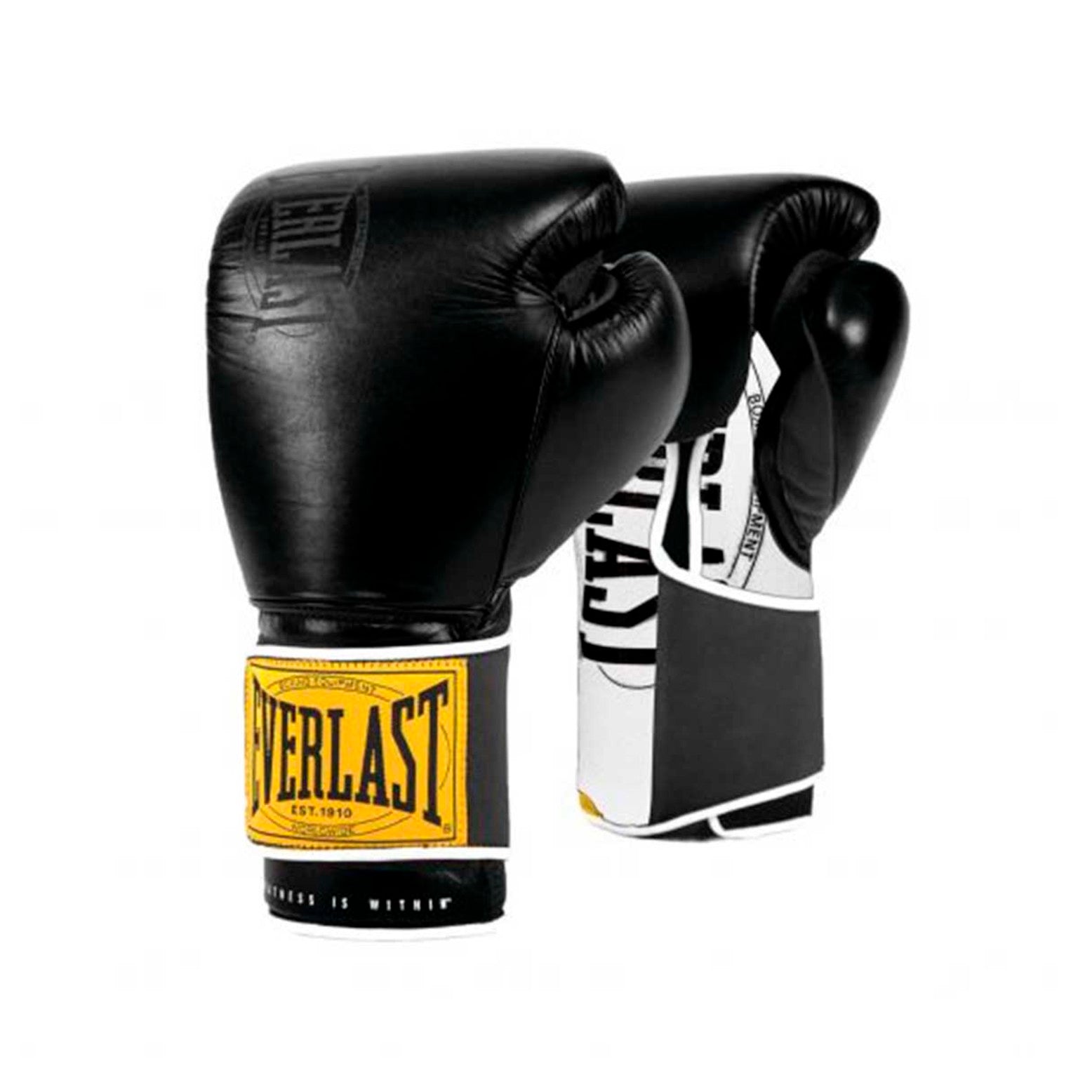 Everlast 1910 Sparring Handskar