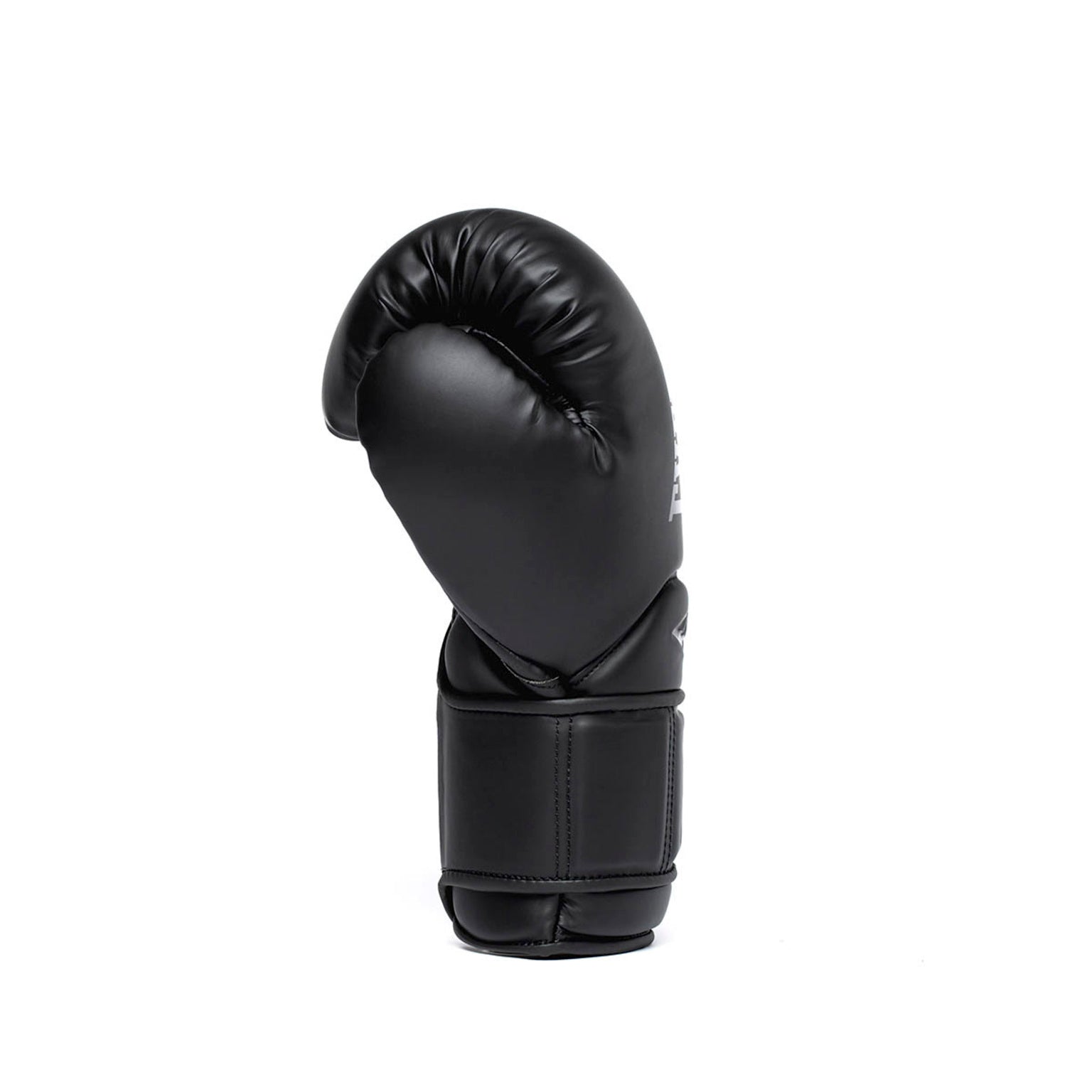 Everlast Elite 2 Pro Boxing Glove H&L